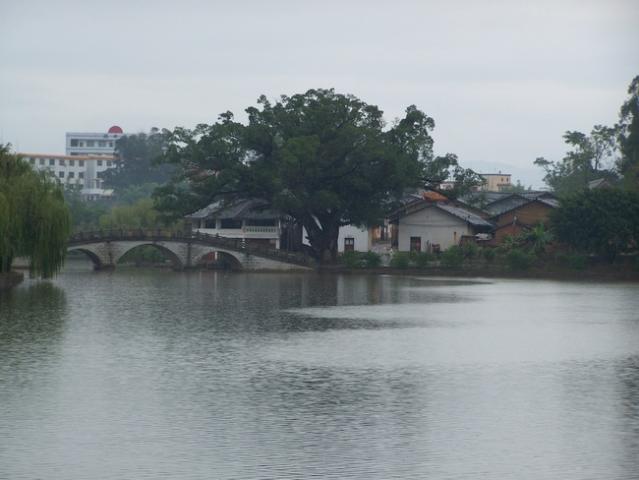 橋