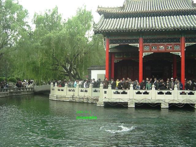 趵突泉2