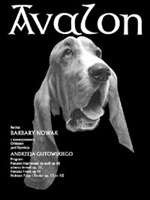 avalon.jpg