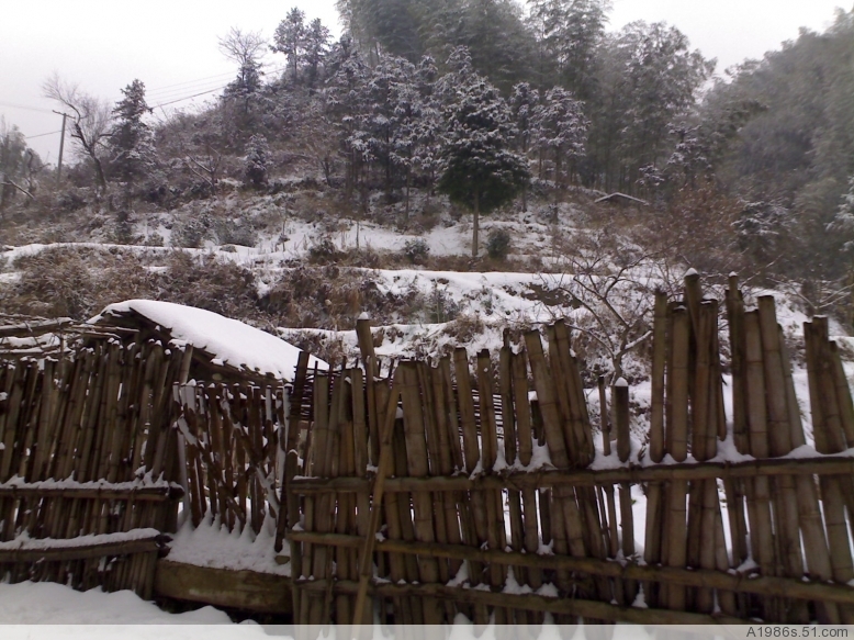 o_1201181205_22815000.jpg