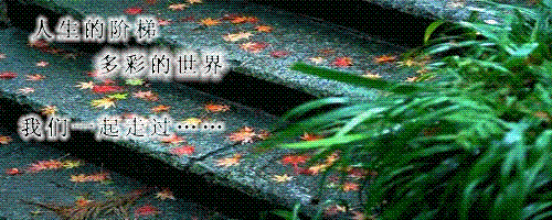 r_3db546e6020005e6.gif