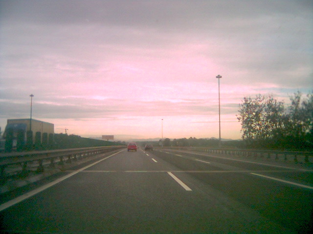 o_0817_071357.jpg