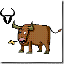 bull