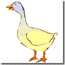goose