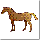 horse