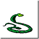 snake
