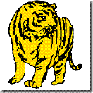 tiger