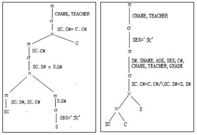 tree.JPG