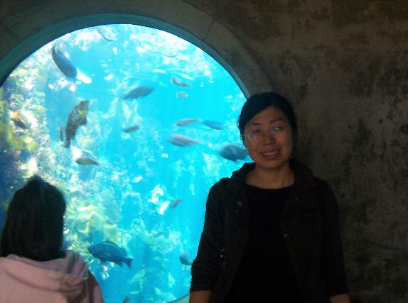 aquarium