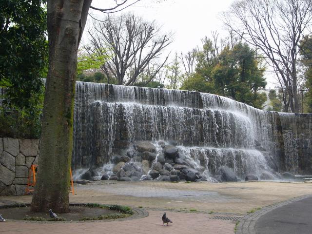 新宿中央公園