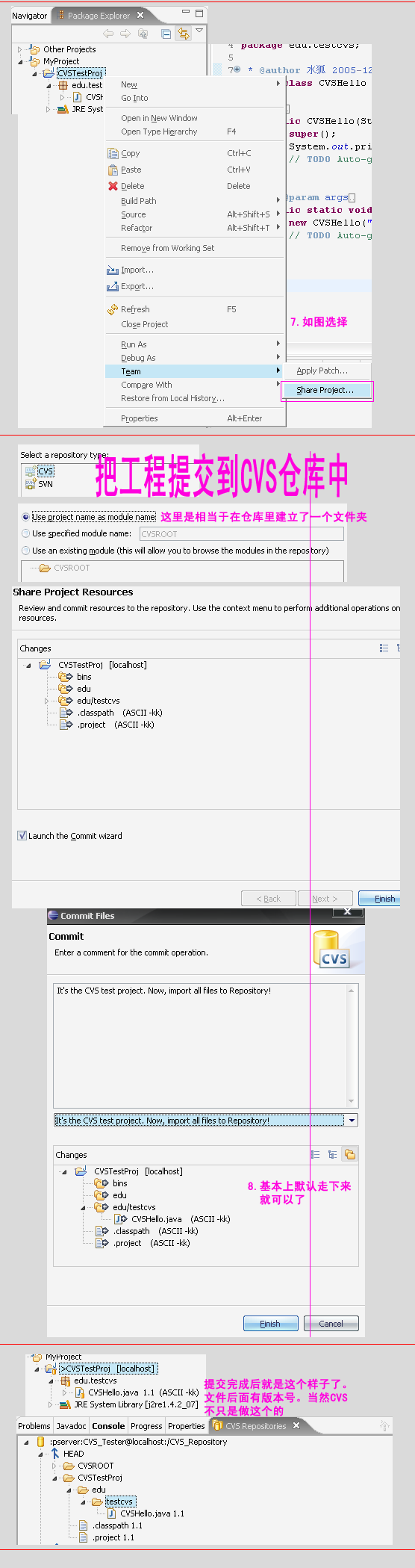 CVS_pic02.png